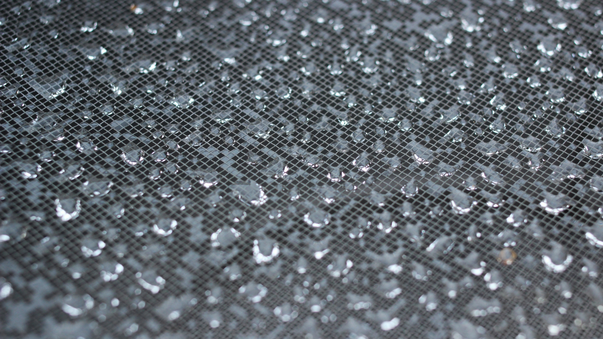Scientist demonstrate ‘Inverse Marangoni effect’ in water